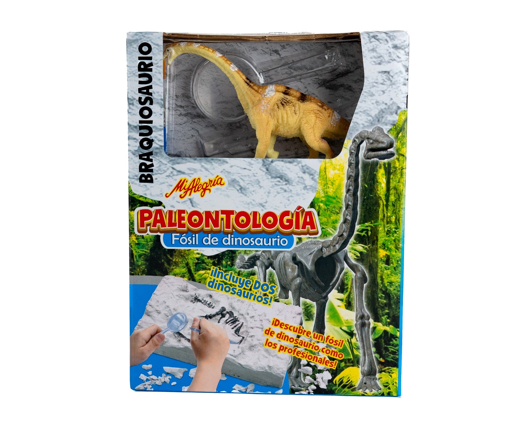 Paleontología - Mi Alegría