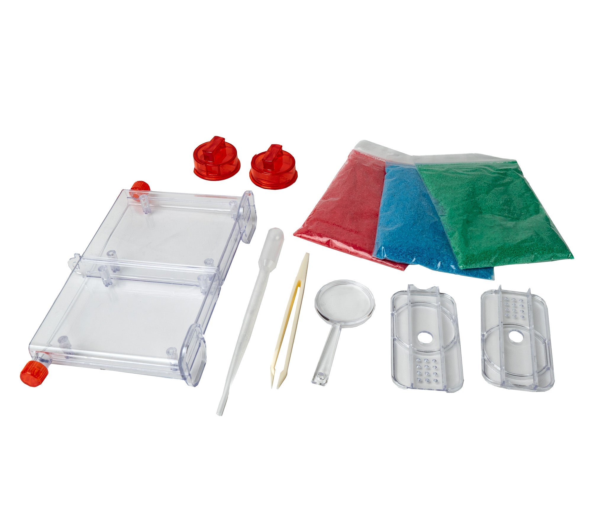 Granja de Hormigas - Mi Alegría