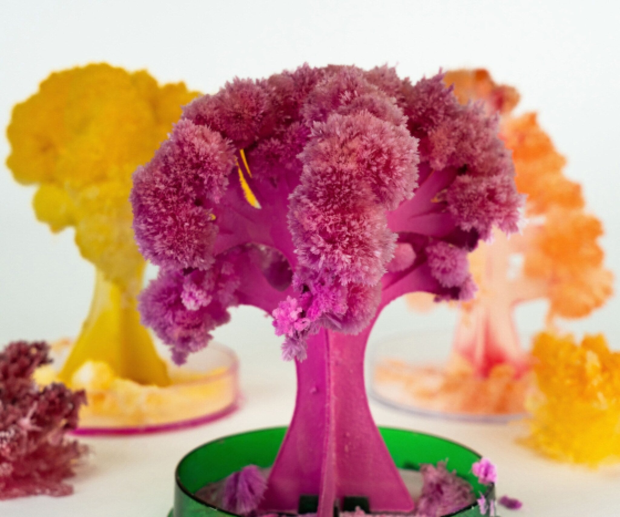 Cristalización jardin encantado - Mi Alegría