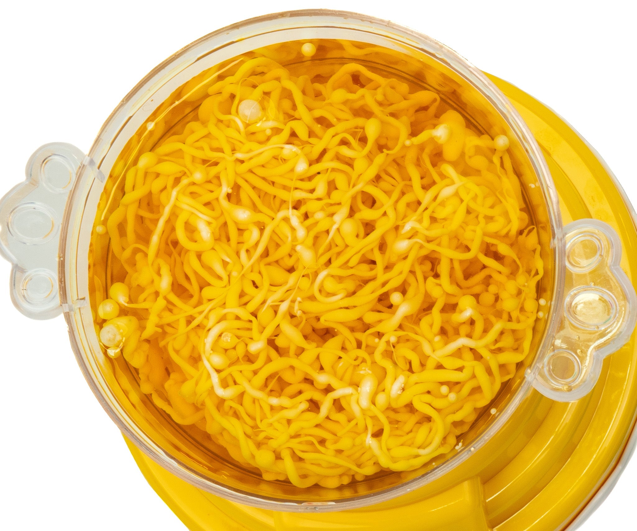 Fabrica de Ramen - Mi Alegría