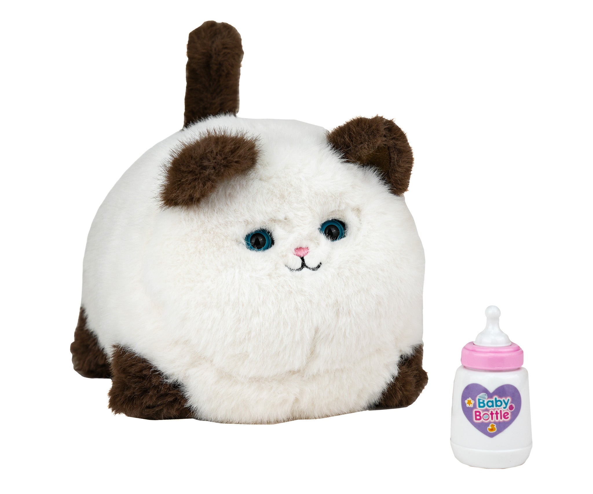 Mi Primer Gatito - Mi Alegría