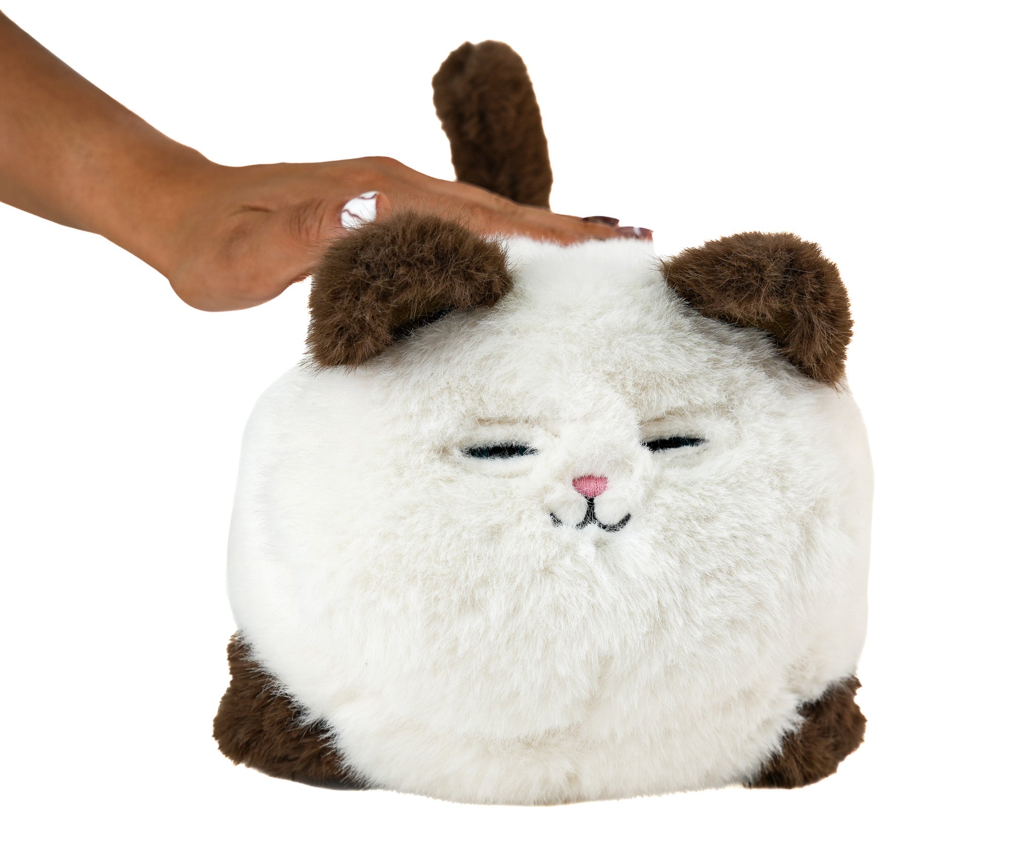 Mi Primer Gatito - Mi Alegría