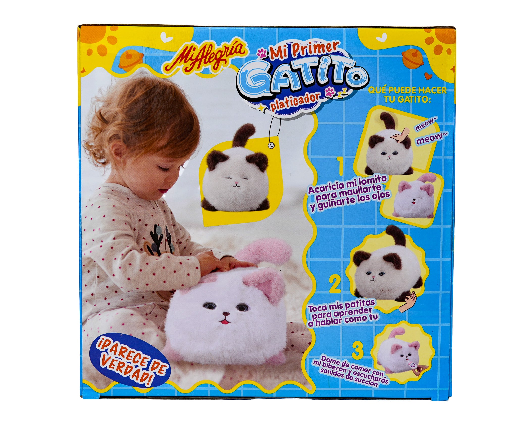 Mi Primer Gatito - Mi Alegría