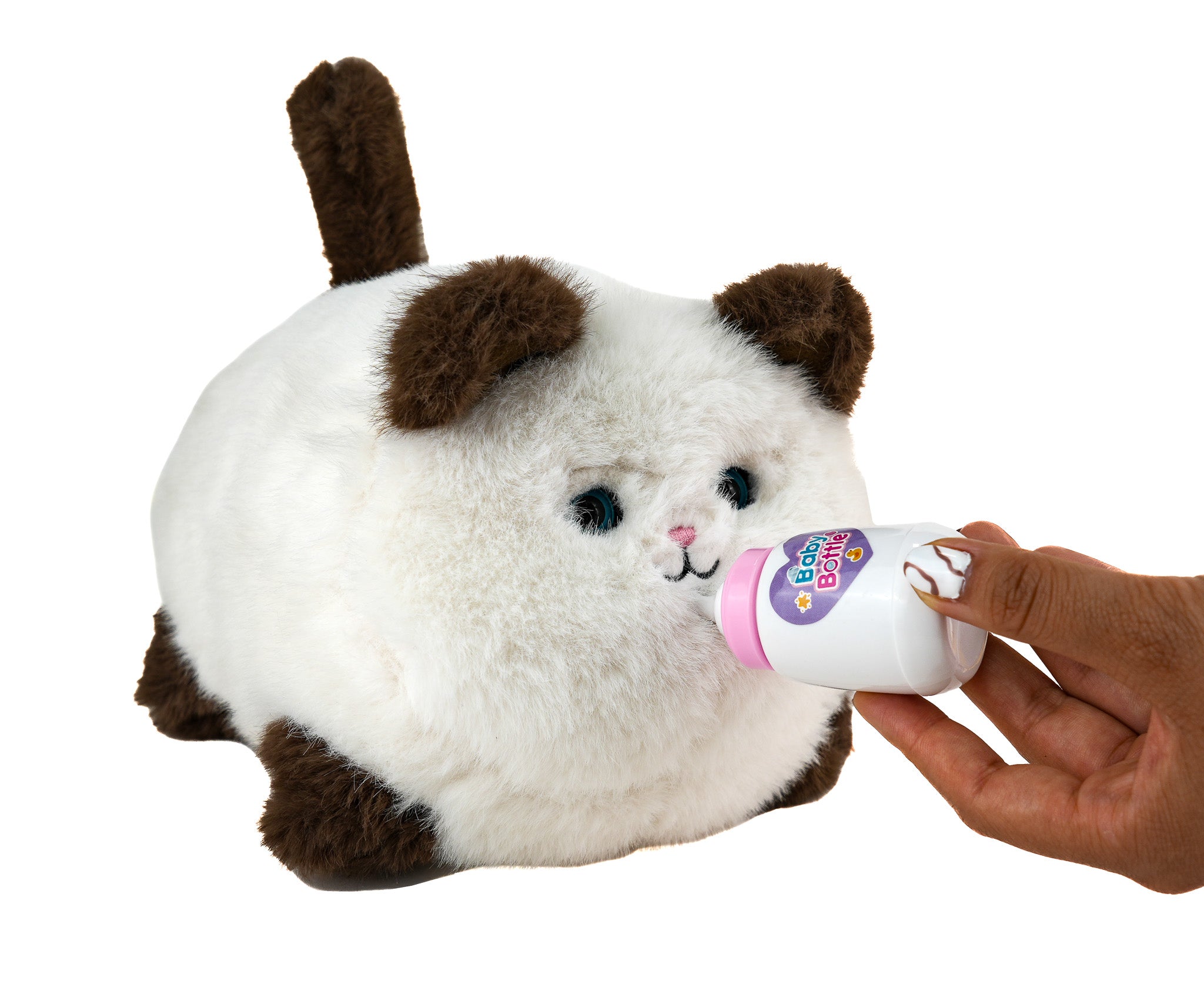 Mi Primer Gatito - Mi Alegría