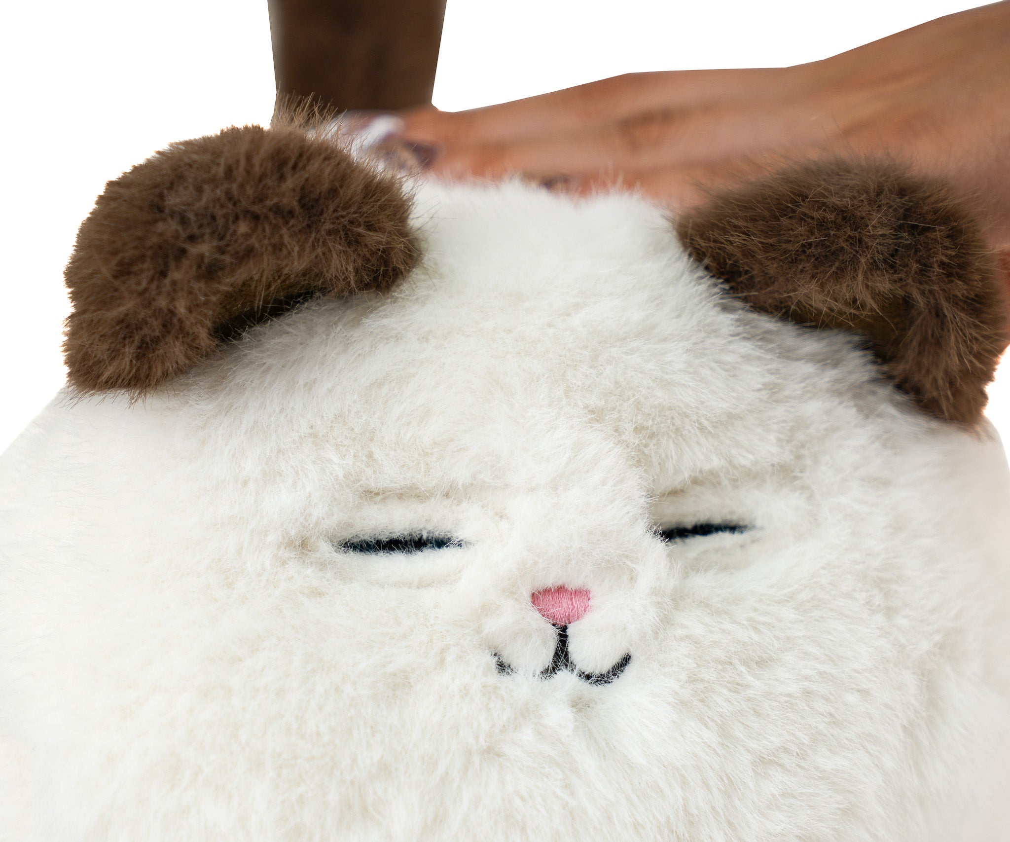 Mi Primer Gatito - Mi Alegría