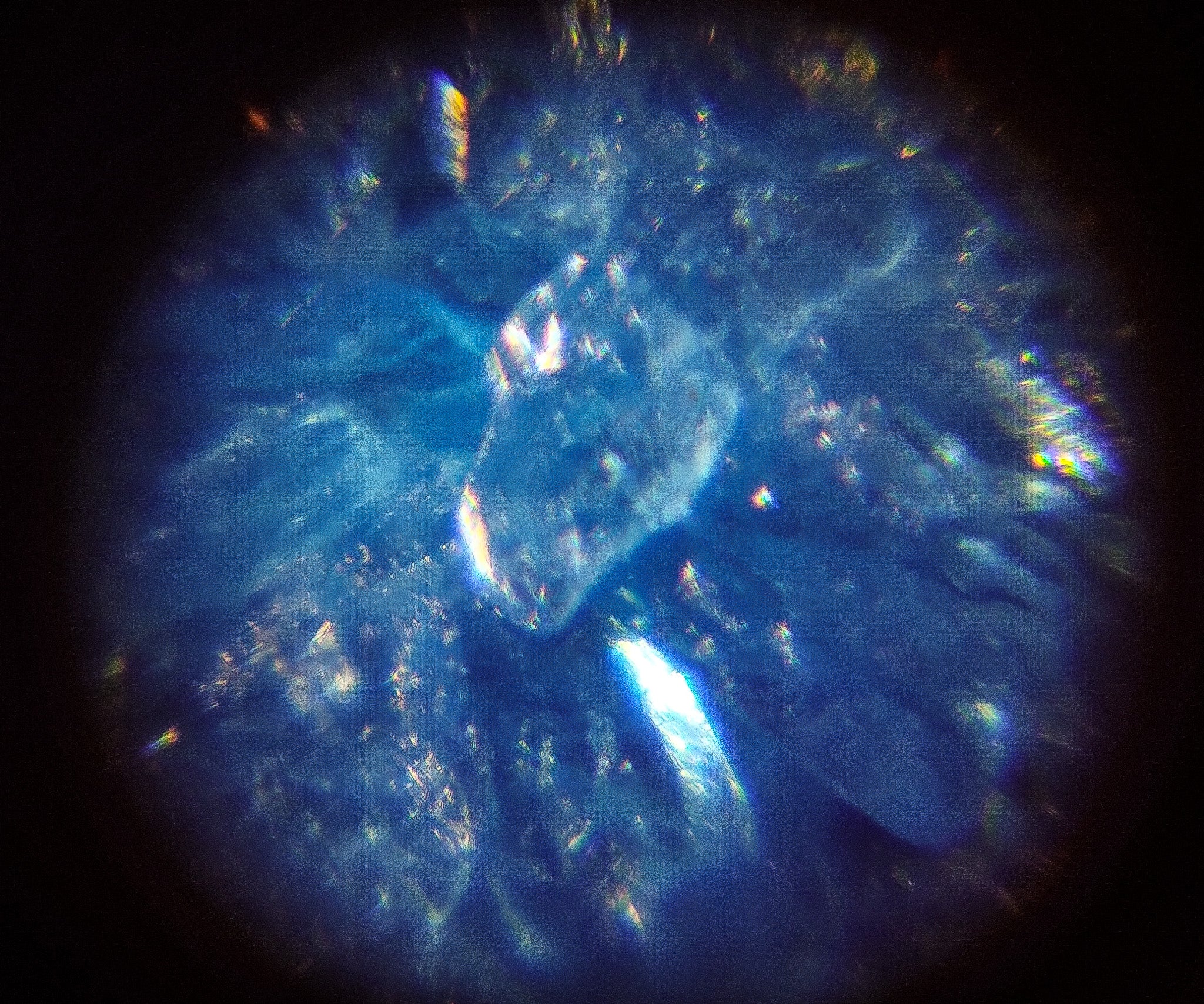 Biología Plus - Mi Alegría