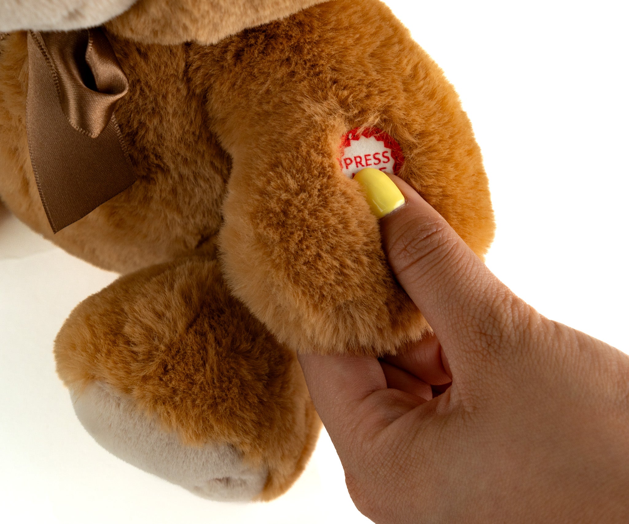 Oso que reza - Mi Alegría