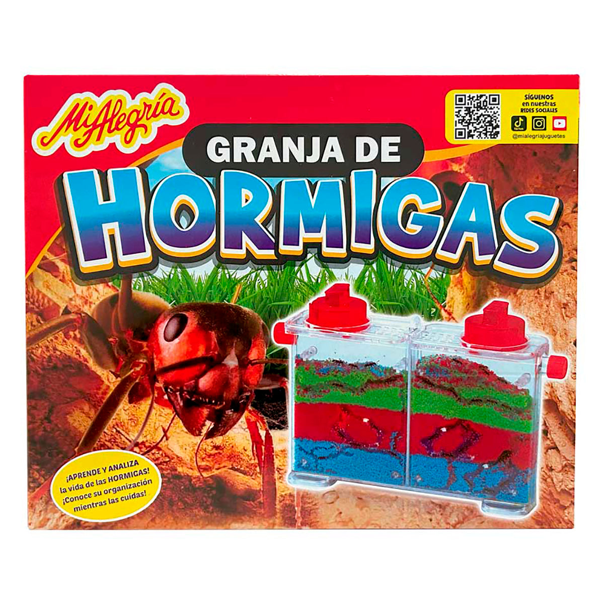 Mi Alegria México