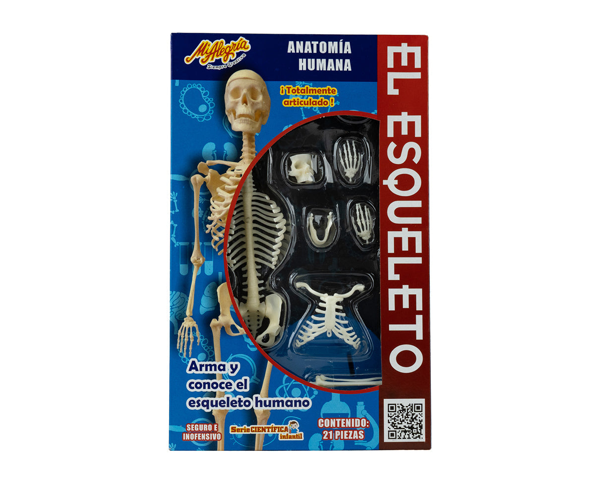 Esqueleto Humano - Mi Alegría
