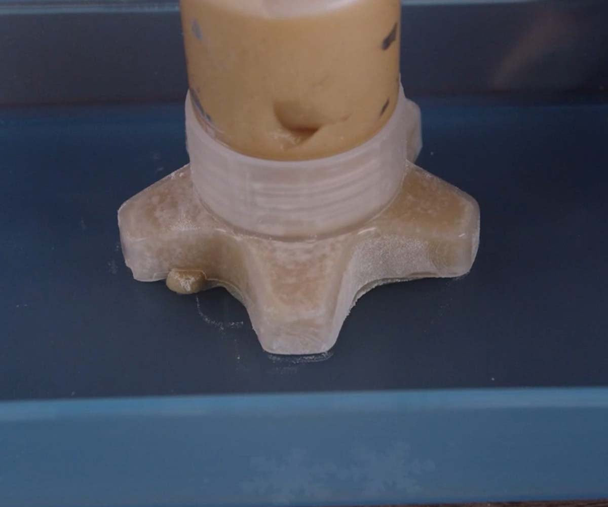 Fábrica De Galletas De Animalitos - Mi Alegría