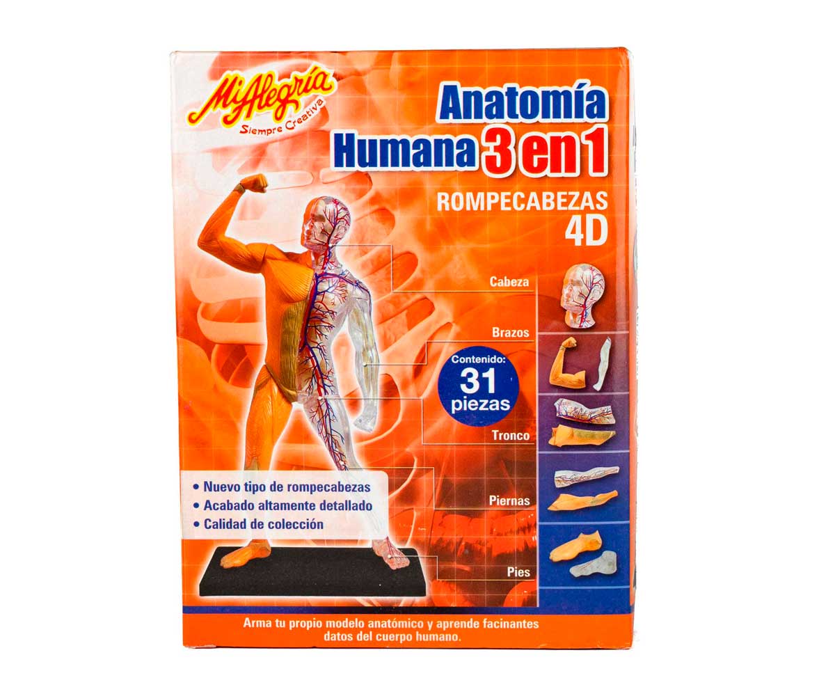 Anatomía Humana 3 En 1 - Mi Alegría