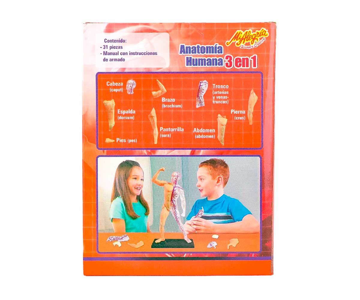 Anatomía Humana 3 En 1 - Mi Alegría