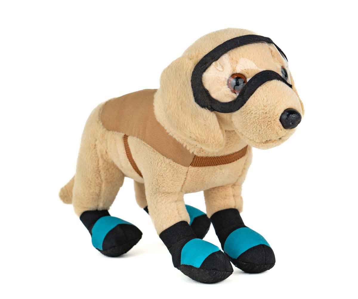 Hospital De Animalitos - Mi Alegría