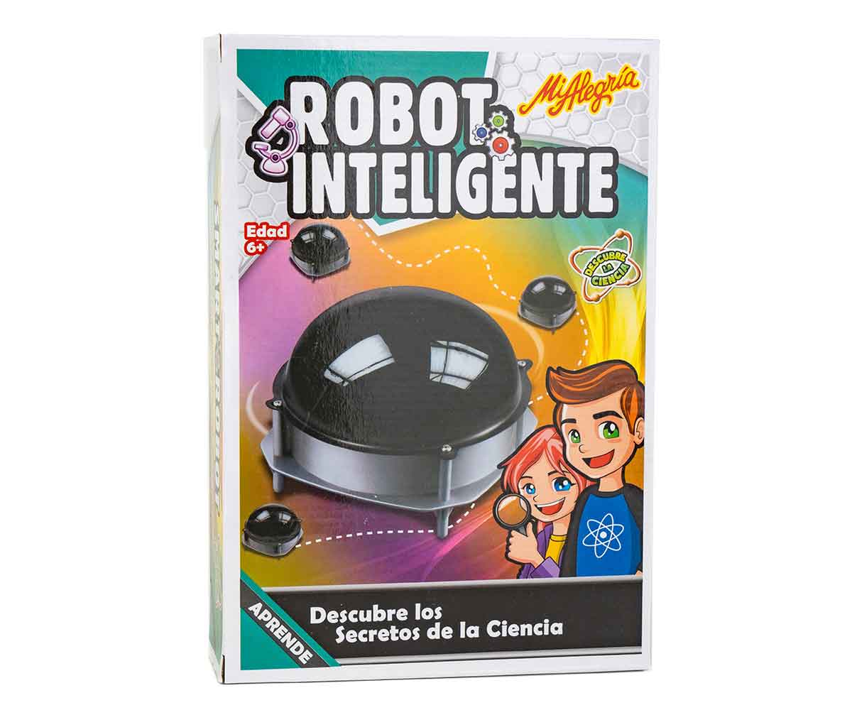 Robot Inteligente