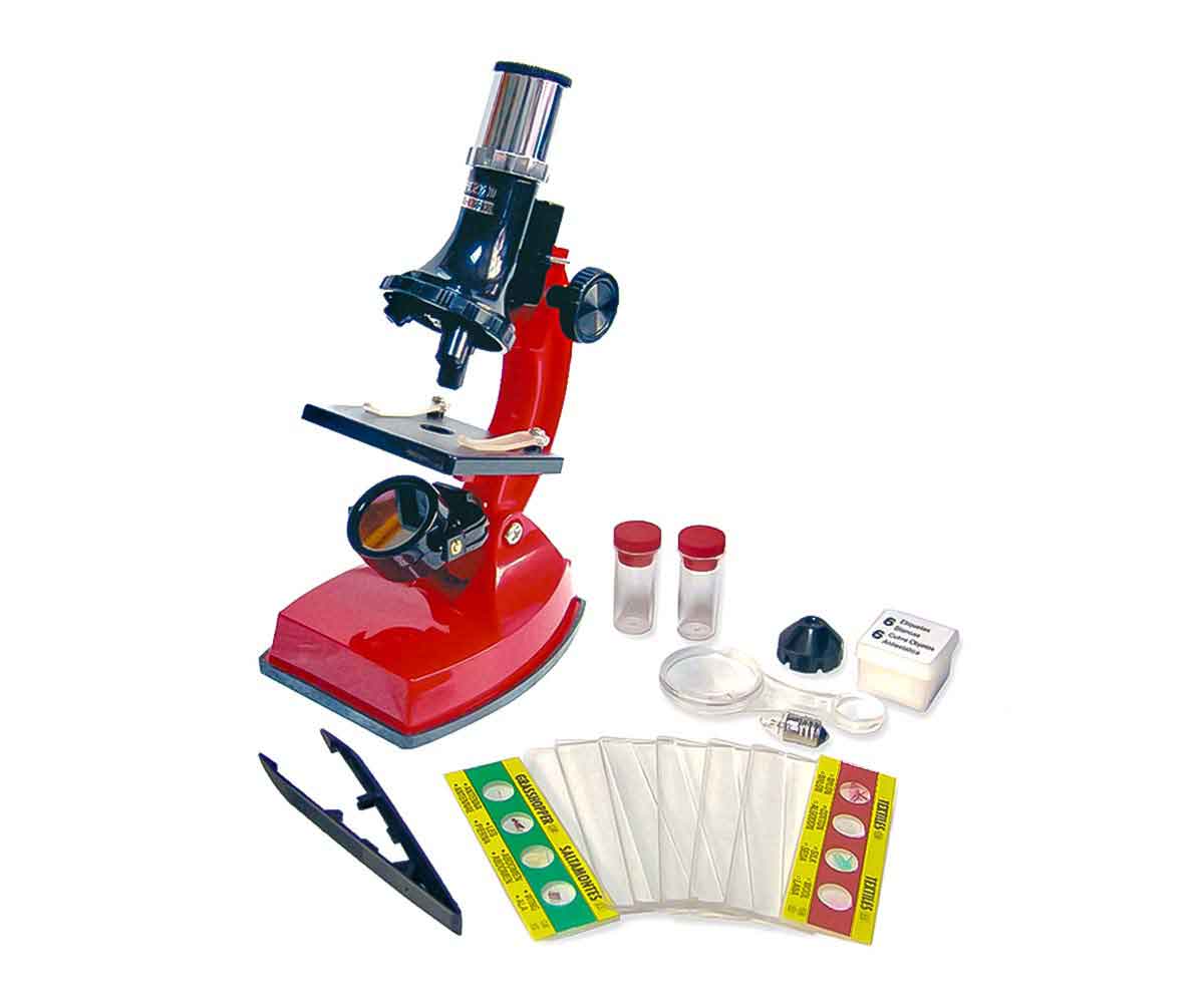 Microscopio Plus Mi Alegría 100X 300X 600X con Accesorios