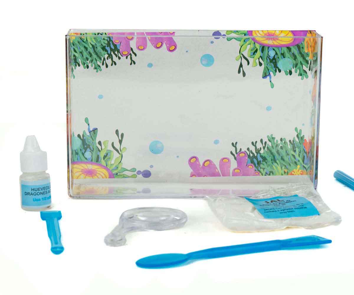 Dragones Acuáticos - Mi Alegría