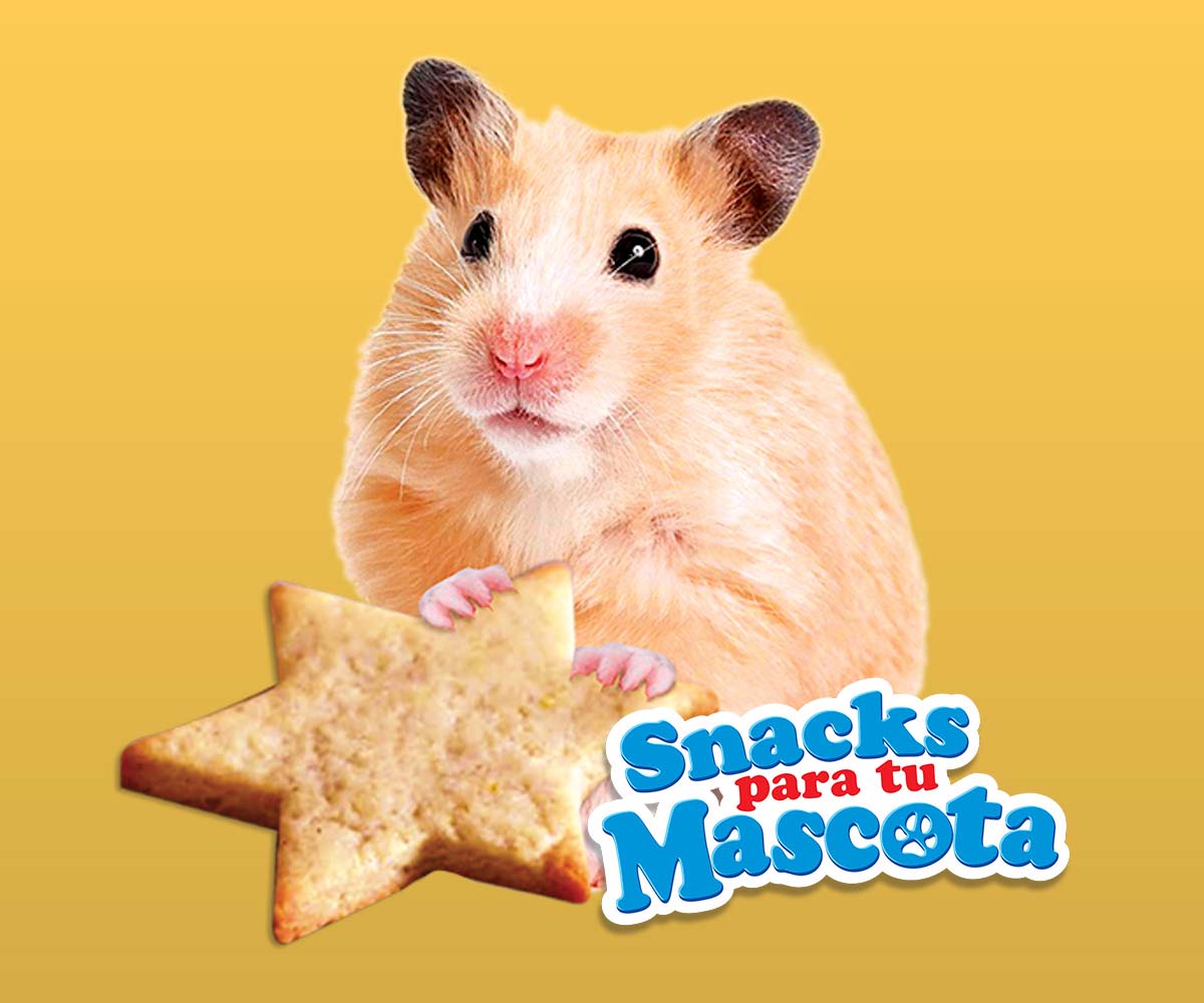 Snacks Para Tu Mascota - Mi Alegría