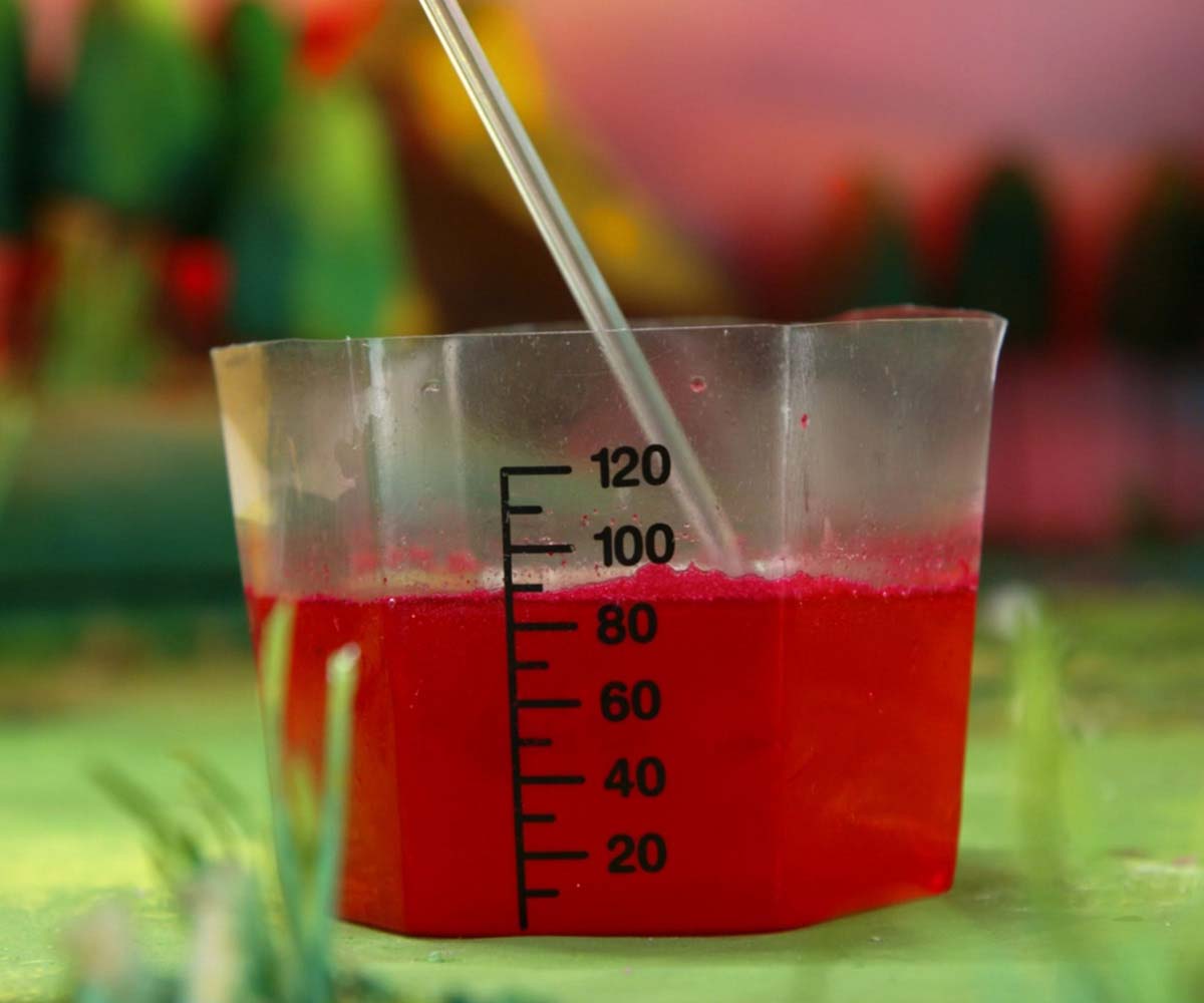 Cristalización Animalitos Mágicos - Mi Alegría