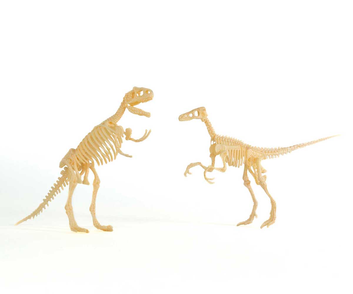 Criaturas Jurásicas, pinta y decora a tu dinosaurio favorito. Modelo: Velociraptor